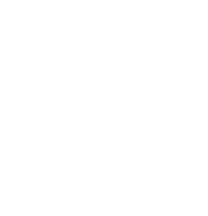RIZEXA logo