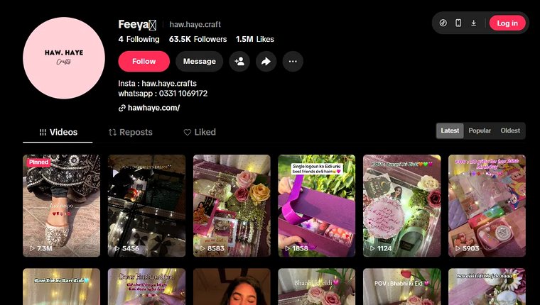 Haw.Haye Crafts TikTok